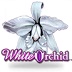 ビデオスロット White Orchid