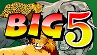 BIG 5 プレイ