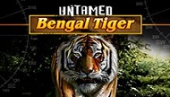 UNTAMED Bengal Tiger プレイ
